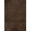 Rapture Area Rug in Brown-1252712824