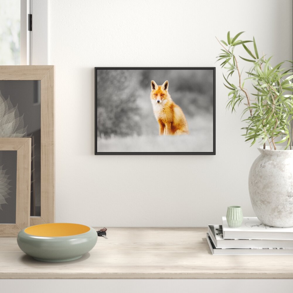 Gerahmtes Wandbild prachtvoller Fuchs