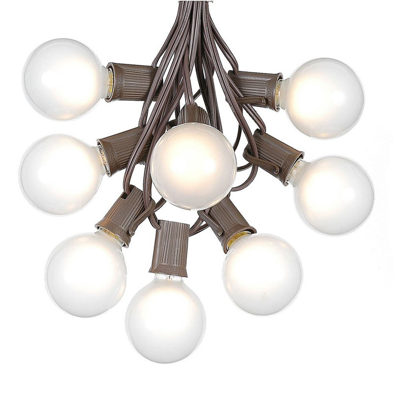 Guirlande de 25 lumières sphériques d'extérieur 25 pi, Blanc givré, Brun
