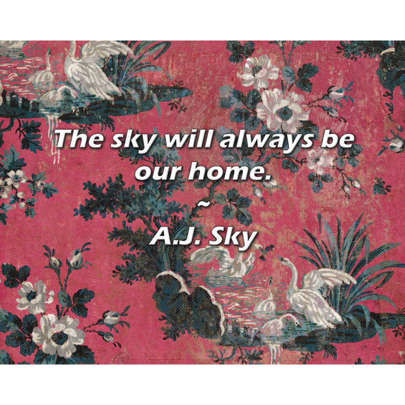 A.J. Sky Quote: The sky will always be our home.