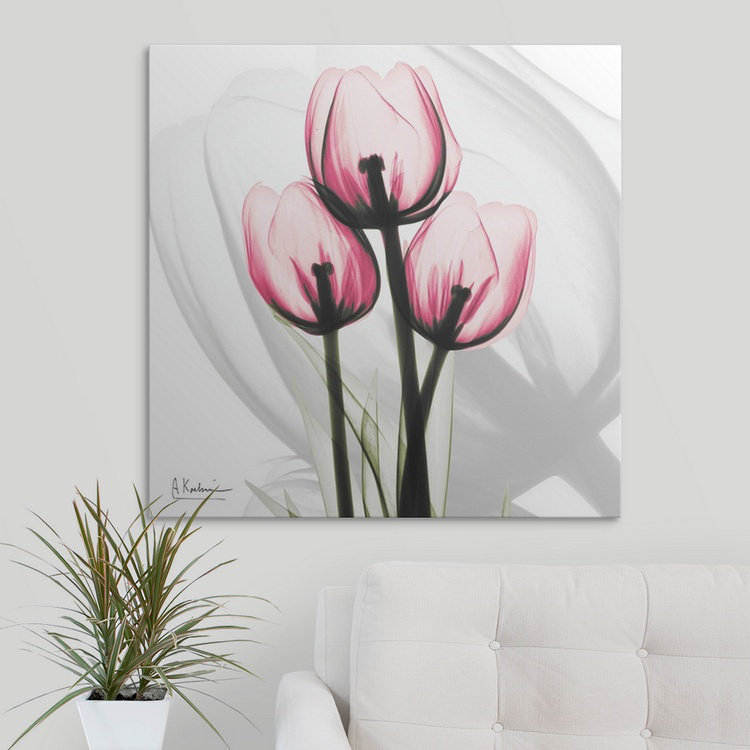 « tulipe x-ray » par albert koetsier,, reproduction de photo, H 24 po x l 24 po x P 1,5 po, Toile