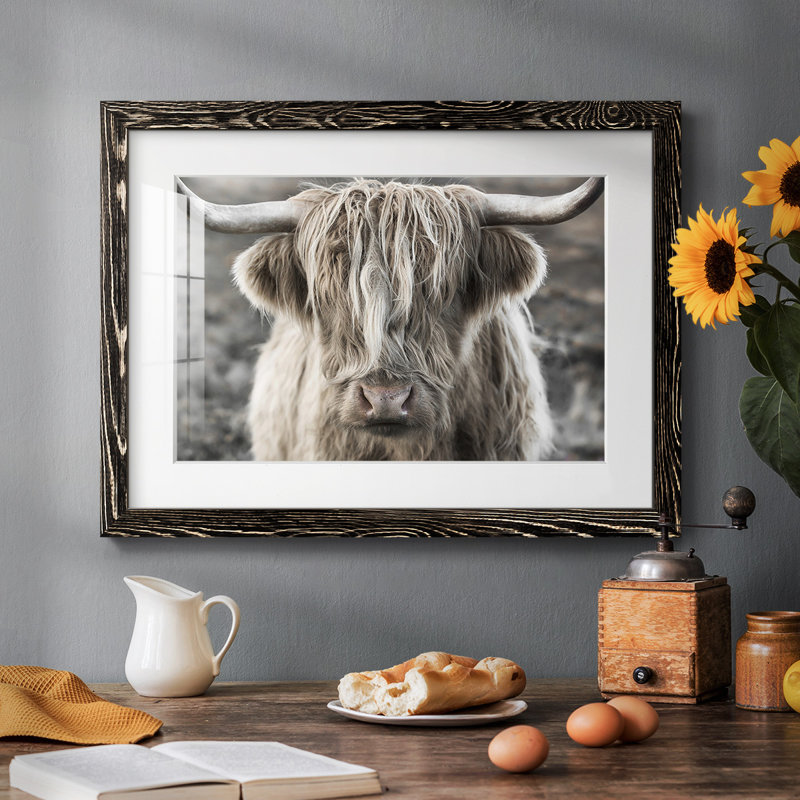 Highland Skye, reproduction d'art encadrée, H 14 po x l 20 po x P 1,5 po, Noir