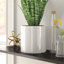Alida Handmade Ceramic Pot Planter