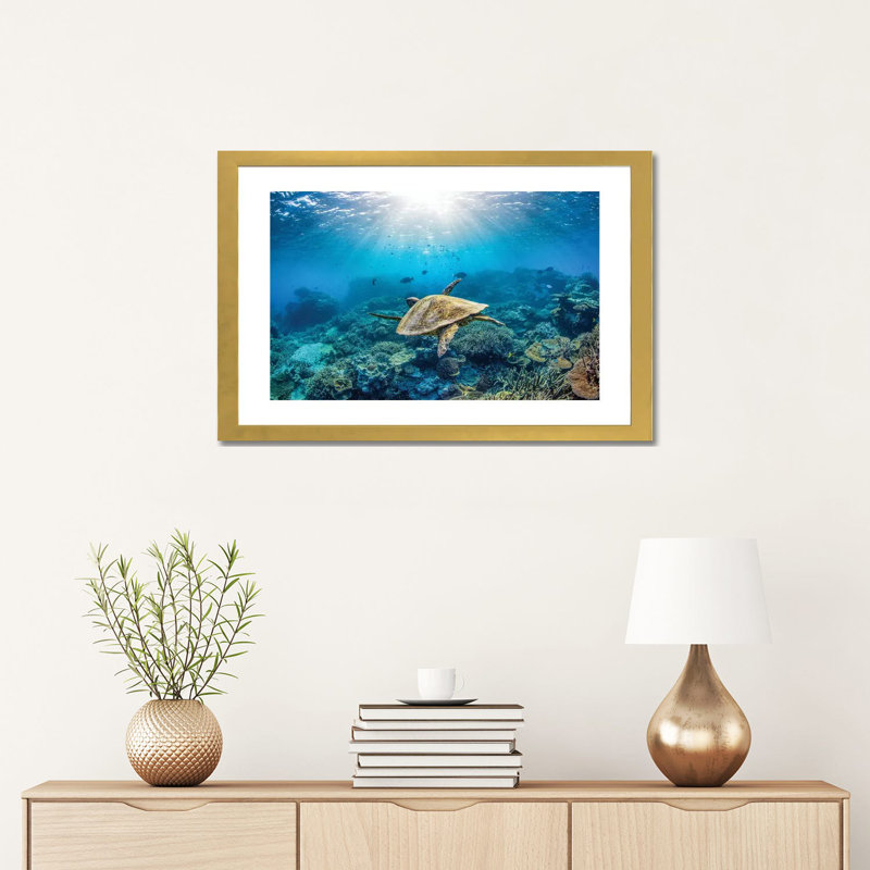 Reef Glider par Jordan Robins - reproduction d'art, Blanc, Papier encadré doré, H 16 po x l 24 po x P 1 po