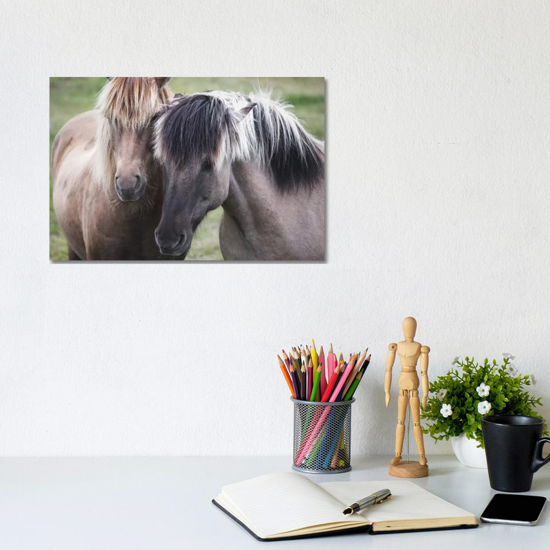 Dynamic Duo by MScottPhotography - Wrapped Canvas Gallery-Wrapped Canvas Giclée, 20.32 cm H x 30.48 cm W