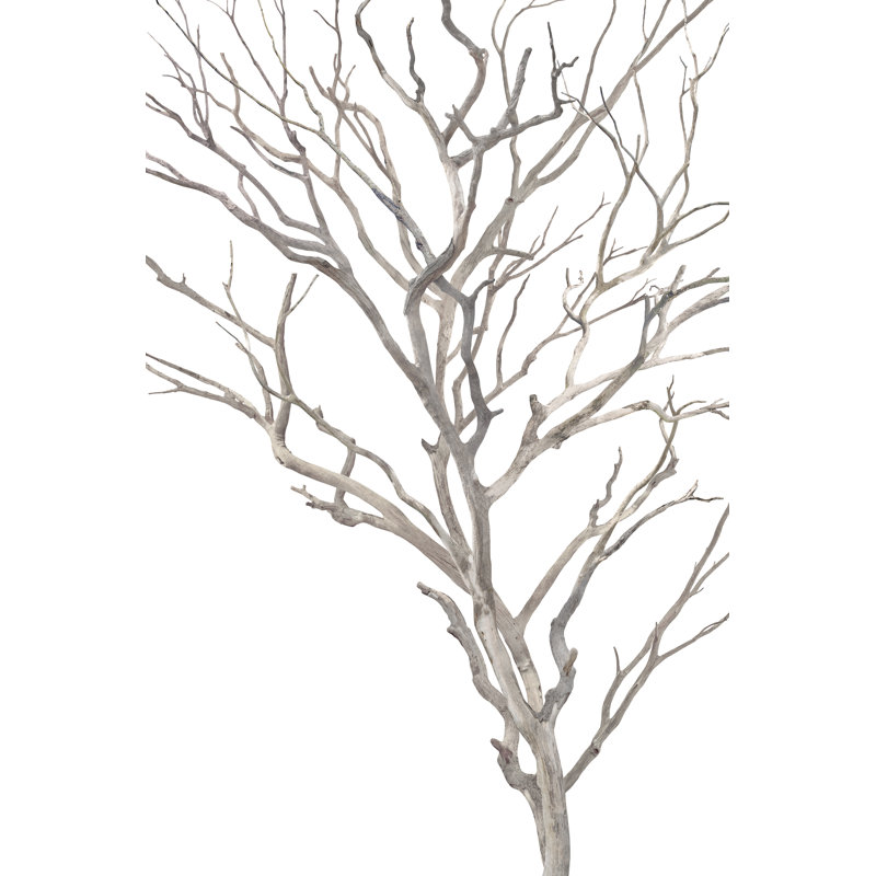 «Enf pliant Branches» par David Brown - peinture sur toile tendue, H 71 po x l 47 po, Image au gel brossé