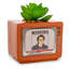 Plante grasse artificielle 6 po Caine