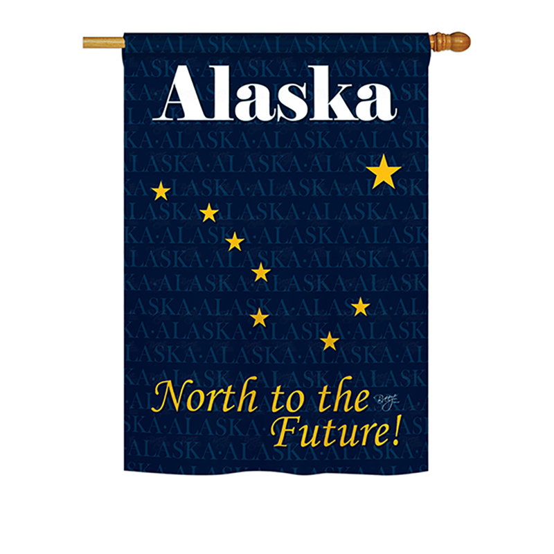 Drapeau de maison en polyester à 2 côtés US State, H 18,5 po x l 13 po, Alaska