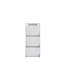 Raiana 12 Pair Shoe Storage Cabinet