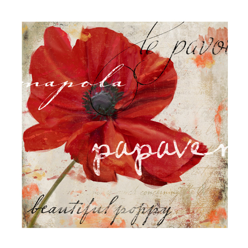 Art sur toile «Bachelo Sasha Le Pavot I», H 14 po x l 14 po