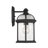 Brynne Glass Outdoor Wall lantern in Textured Black-22243278-119695825