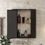 Armoire de salle de bain murale avec miroir