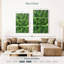 Plante grasse Harnek-108667467
