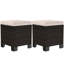 Ensemble de 2 cubes de repose-pieds d'extérieur-1731776830