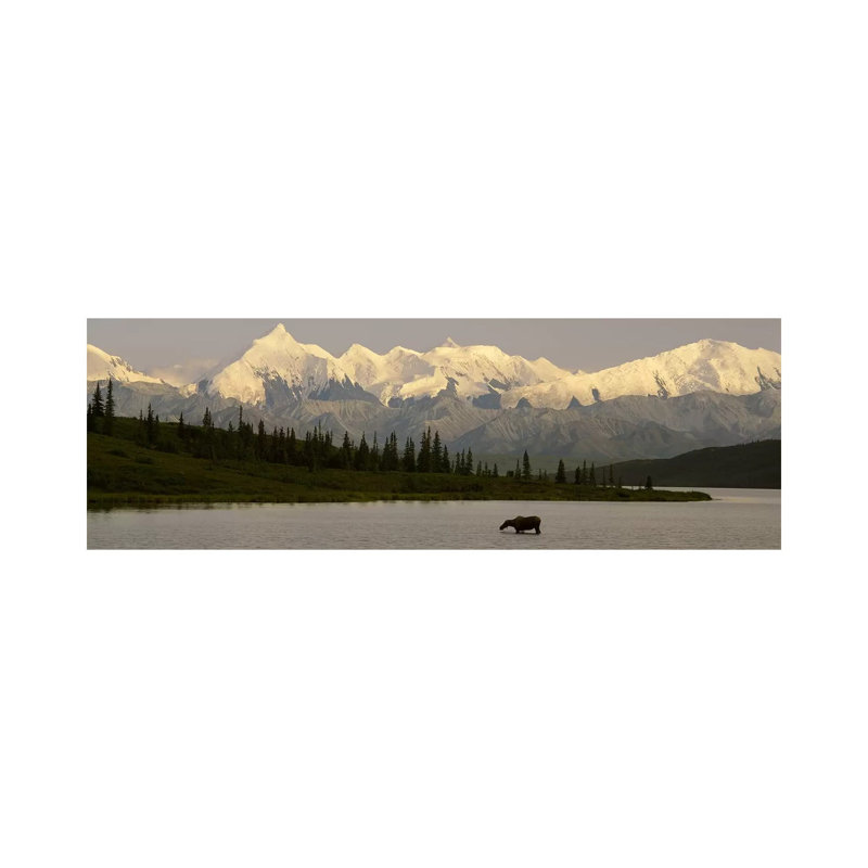 Moose Standing On A Frozen Lake Wonder Lake, Denali National Park, Alaska, USA - Wrapped Canvas Panoramic Print