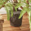 Georgia Faux Fern Plant-168745442