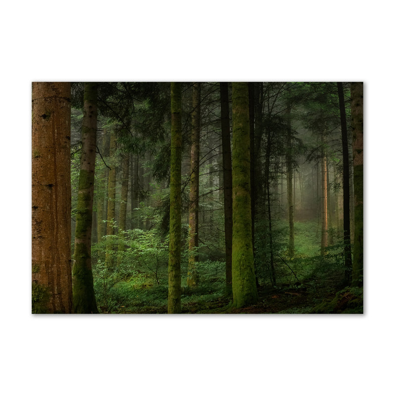 Fog In The Forest - Wrapped Canvas Print