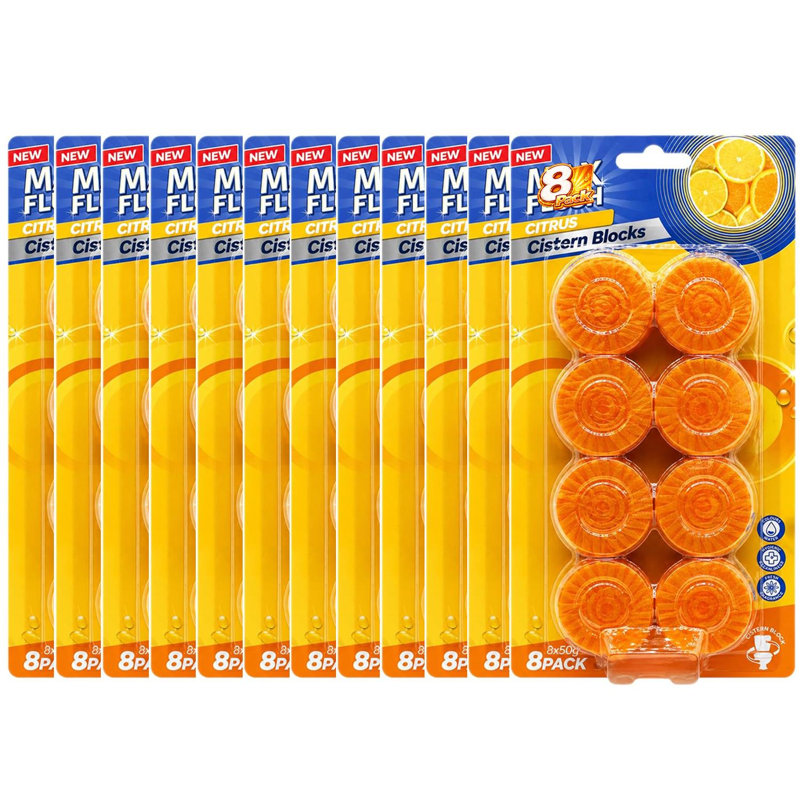 Toilet Cistern Blocks Multiple Fragrance Toilet Freshener Tablet 50G Automatic Toilet Care And Flush Colouring Block Pine Pack Of 6