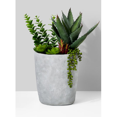 Succulent mélange de bureau en pot de ciment artificiel