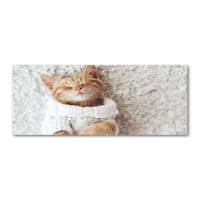 Kitten In A Sweater - Wrapped Canvas Print