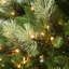 The Holiday Aisle® Charleston Pine Slim Tree with Clear Lights-928665708