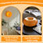 Lampe orange avec cercle d'agrumes