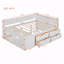 Lit de jour double avec tiroirs et tablettes-129620554-129620553