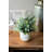 10'' Faux Eucalyptus Plant in Ceramic Planter
