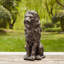 Statue de jardin lion IGO résistante aux intempéries Irizarry-451167768-451167772-451167770