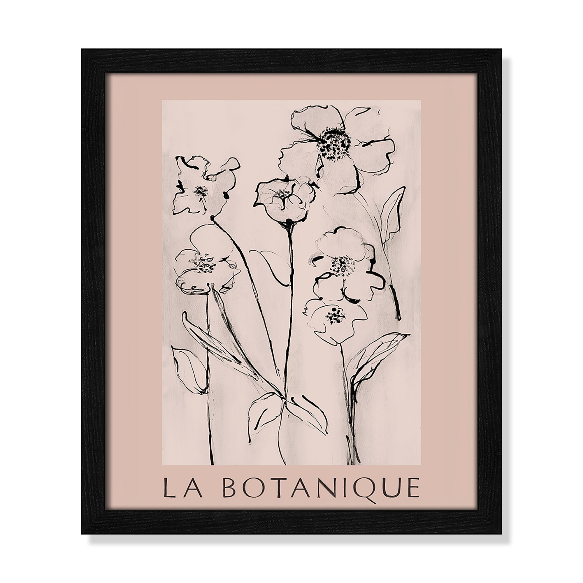 Botanical Poster Collection " La Botanique " by Susan Jill, Black Single Picture Frame, No, 15" H x 13" W x 0.75" D