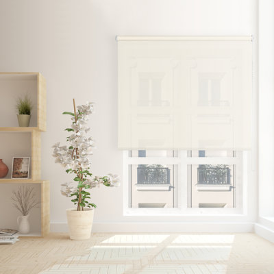 Sheer