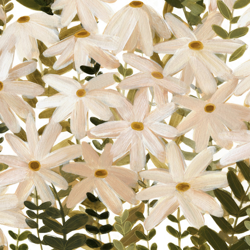 UA CH Daisy Field I by Emma Scarvey - Wrapped Canvas Painting, 30cm H x 30cm W