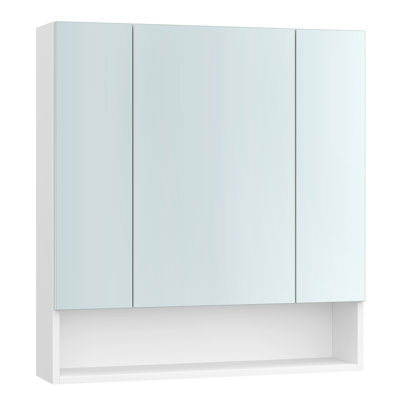 Reinardo Wall Mounted Required Bathroom Cabinet