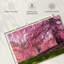 Fleurs de cerisier Suzuka-865999526
