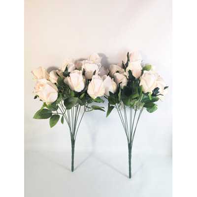 Boutons de roses en fleurs qui rêvent