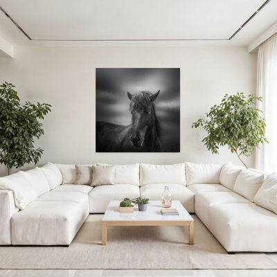 «Dark Horse Portrait», art dramatique contemporain contemporain