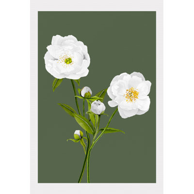 Plants & Flowers