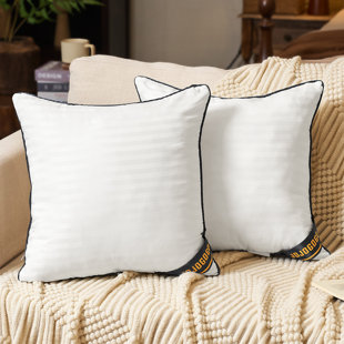 Insert de coussin décoratif réversible 20 x 20 hypoallergénique en duvet synthétique (ensemble de 2) (Ensemble de 2)