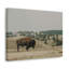 No Frame Print on Canvas-1635883268