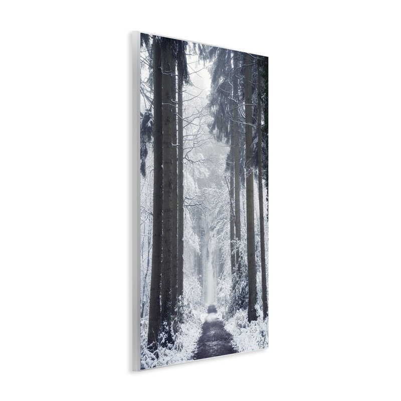 Winter Winter Path, art de la giclée encadrée par Martin Podt, H 19 po x l 13 po