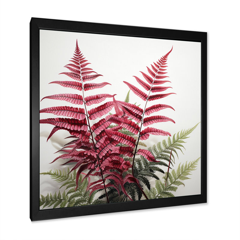 Ferns Ruby Essence I - Floral Canvas Wall Art, Cadre simple noir, H 24 po x l 24 po x P 1 po