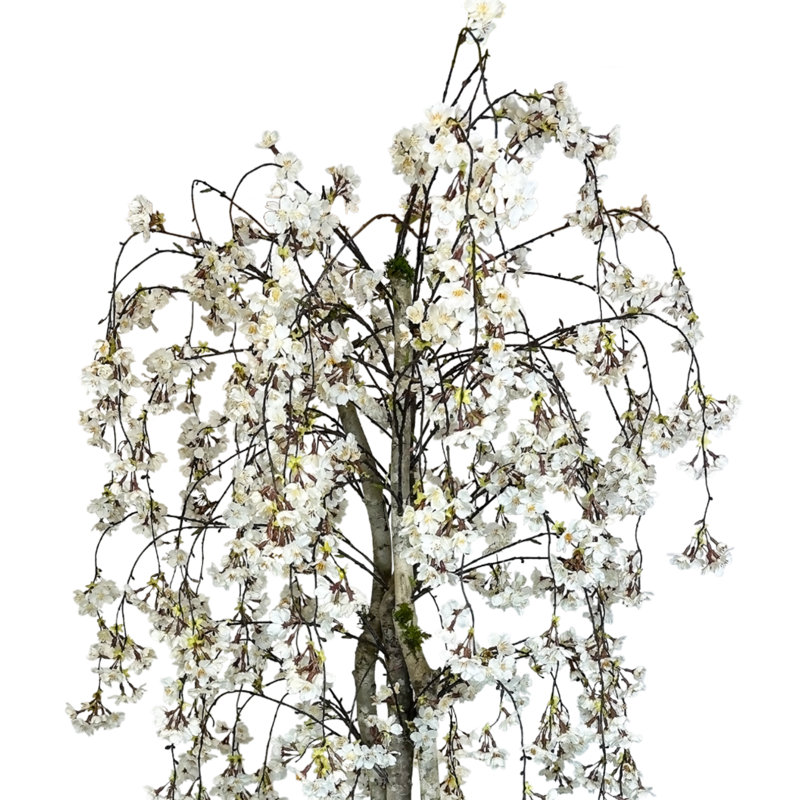 Faux Cherry Blossom Tree in Fiberstone Planter, 60" H x 34" W x 11.50" D