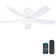 41" Flush Mount Ceiling Fan With Light And Remote/app Control