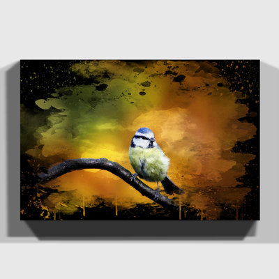 Blue Tit - Wrapped Canvas