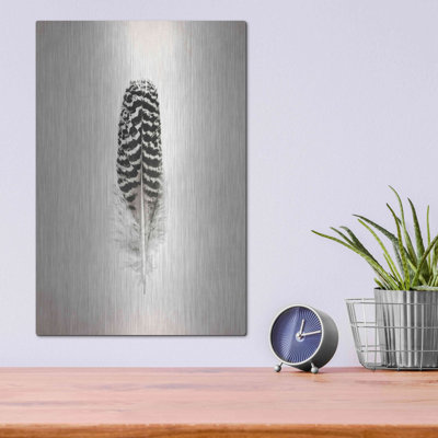 «Feather I B&W» par Debra Van Swearingen