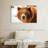 Grizzly Bear Stare-107703629