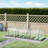 Mini Greenhouse, Portable Tunnel Green House With Roll-Up Zippered Doors, UV Waterproof Cover, Steel Frame-115823928