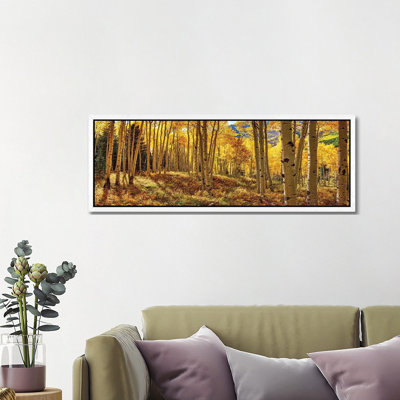 Autumn Aspen Colorado Forest Panorama - Panoramic Print on Canvas
