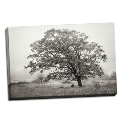 « burning oak v », reproduction de photo sur toile tendue
