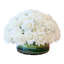 Large Dome Real-Touch Rose Centerpiece-1001954879